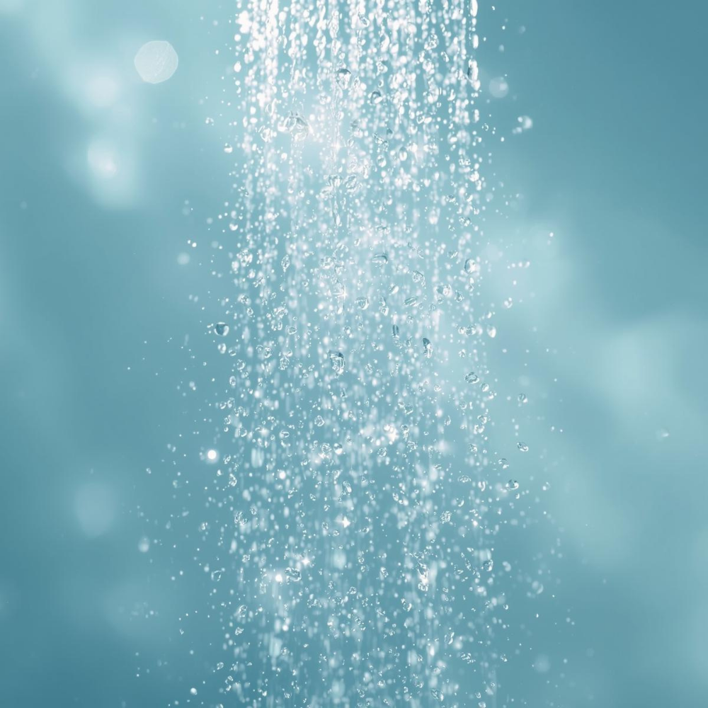Shower Fresh
