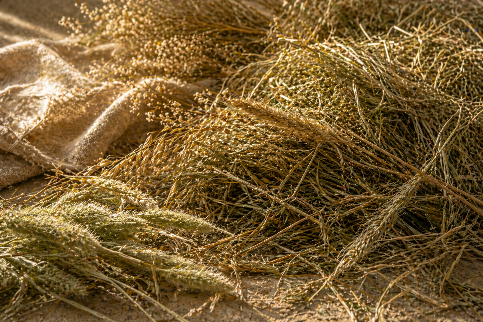 Hay