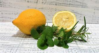 Green Citrus Sampler  - 6 refreshing  aromatic citrus fragrances for Men  -