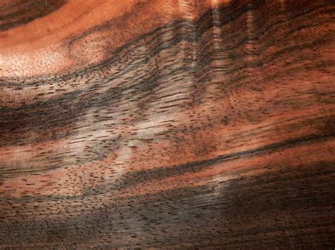 Ebony Wood Sampler - 7 Dark Woods Samples