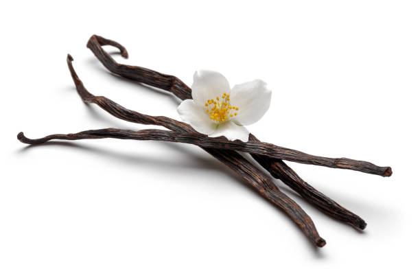 Vanilla & Jasmine Sampler - 5 Jasmine  & Vanilla blended fragrances