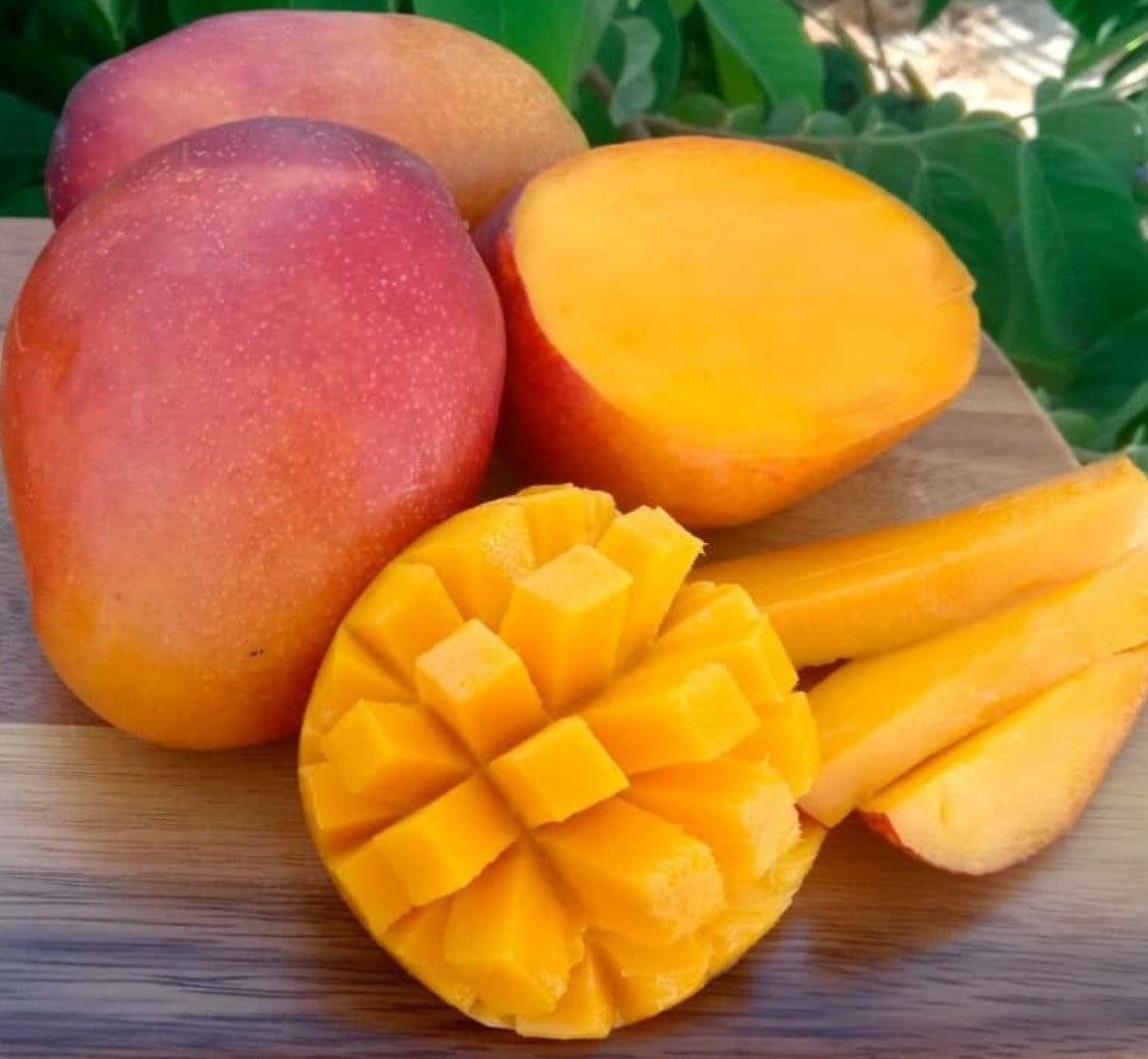 Mango - A Tropical Paradise Fruit  Sampler pack ~ 7 Light Summery Juicy Samples