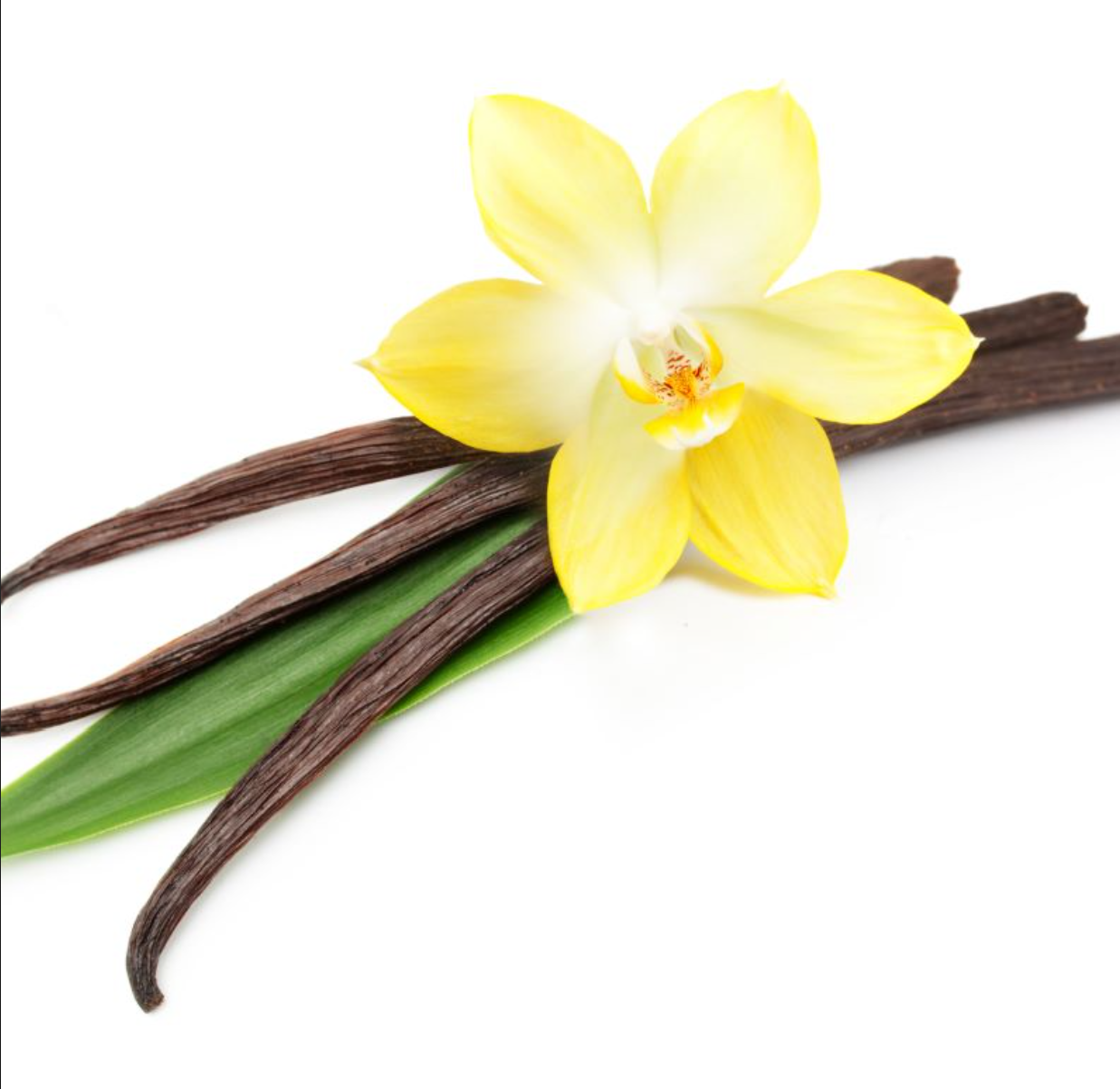 Vanilla & Orange Blossom Sampler - 7  Orange Blossom, Neroli  & Vanilla blended fragrances  -