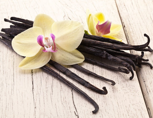 A Floral Vanilla Sampler - 5  Samples for Women