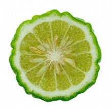 BERGAMOT - A  Unisex Bergamot Sampler Pack - 5 Samples
