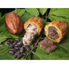 Chocolate - A Chocolate Sampler Pack for Men - 7 Cacao samples