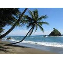 Coconut - A Beachy Tropical Sampler - 8  samples for Women