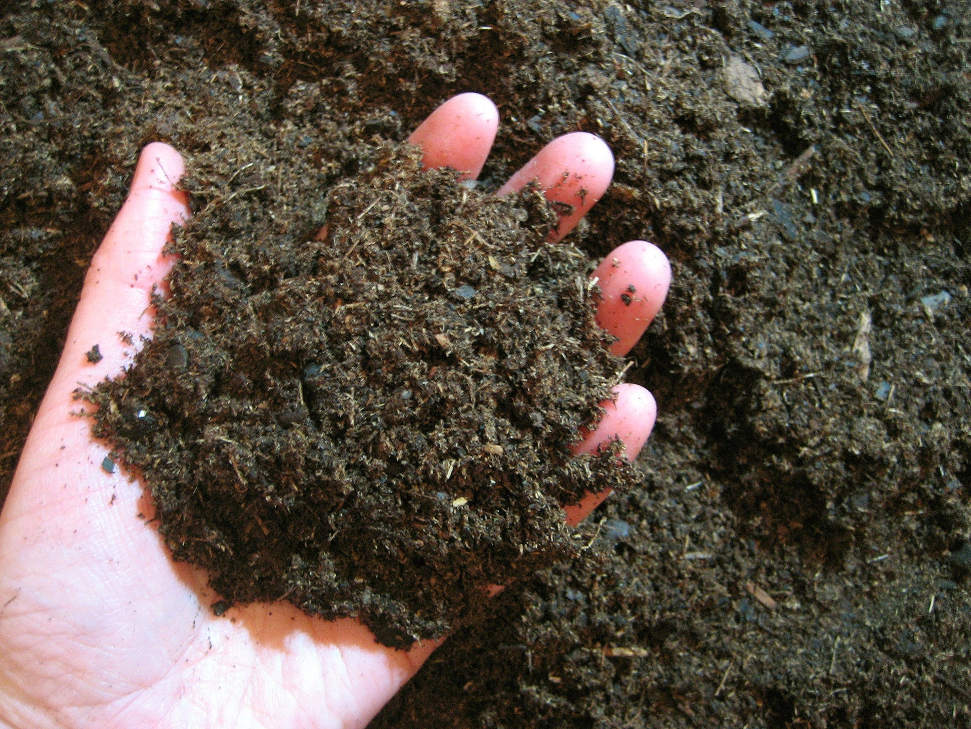 Digging in the Dirt - 6 Earthy Scents Featuring Truffles & Soil