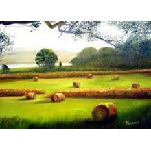 Hay Sampler - 7 Unisex Samples