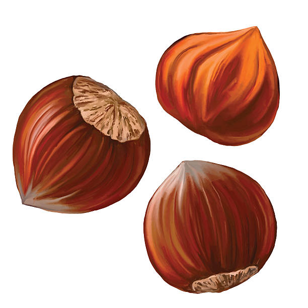 Hazelnut Lovers sampler - A Crunchy, Nutty, Yummy  Sampler for Women - 8 samples