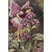 Heliotrope Sampler  - A Guide to this gourmand floral   - 7 samples