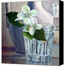 Jasmine Sampler - A Comprehensive Guide to this Indolic (okay, Sorta Skanky) and Gorgeous Flower - 13 samples
