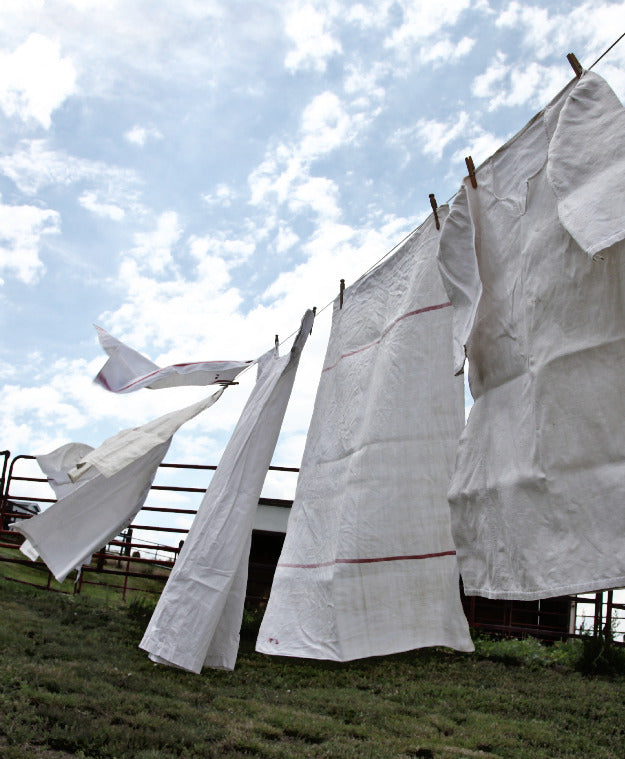 TPC Fresh Clean Laundry Sampler  - 9 samples that smell like clean sheets & freshly laundered clothes