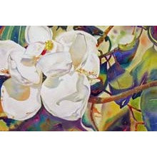 Magnolia - An Introduction to the Stately White Magnolia Sampler - 6 Samples for Women