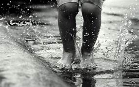 Rain Sampler - Petrichor - Smells Like Rain - 8 Samples
