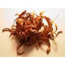 Sandalwood Sampler - 5 Gorgeous Fragrances For Women