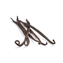 Vanilla -  A Cuddly Vanilla Sampler - 9 samples