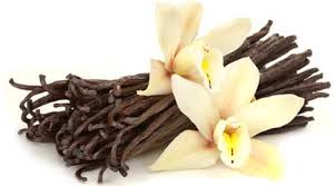 TPC Vanilla Sampler - 6 Most Current Vanilla Fragrances Launched in 2022
